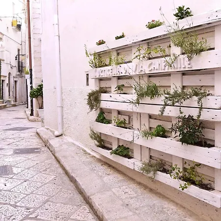 Arco Gaudi - Alcoba Batllo Nocleg ze śniadaniem